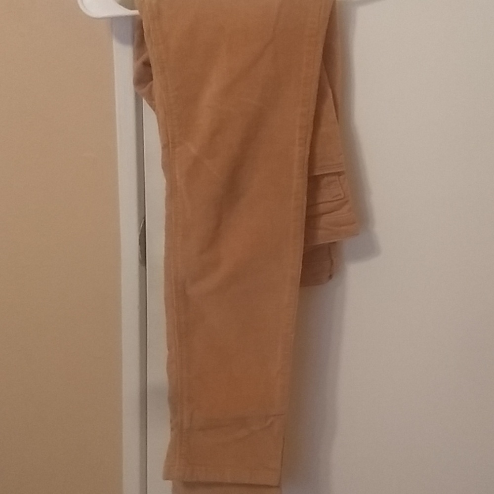Cotton Pants